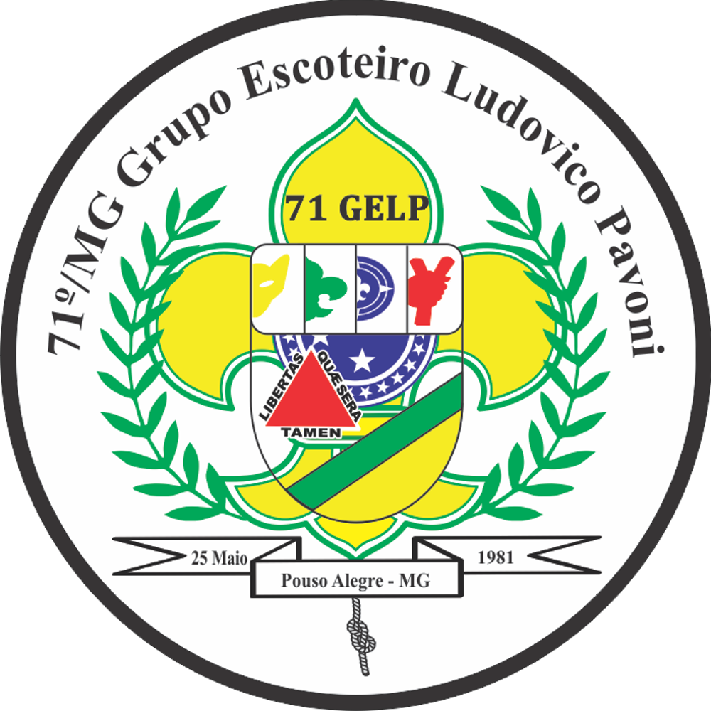 Imagem de destaque 3 de DISTINTIVO 71GELP - AUTOCOLANTE