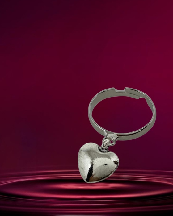 03H Anel Leticia prata