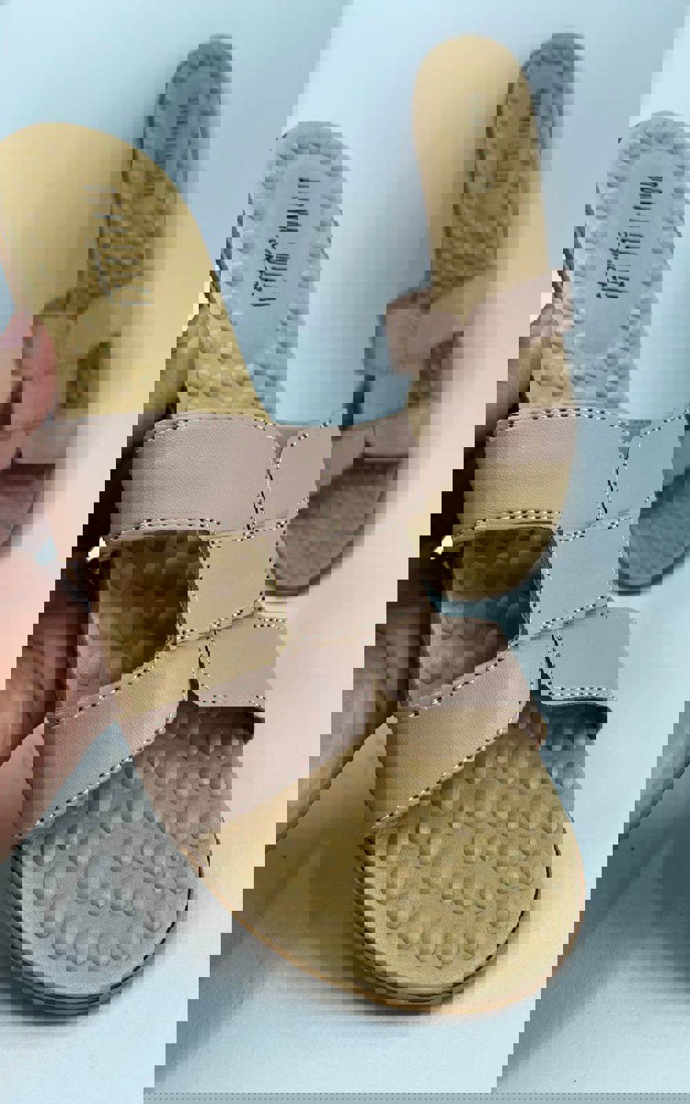 Imagem de destaque 4 de CONFORT SARA