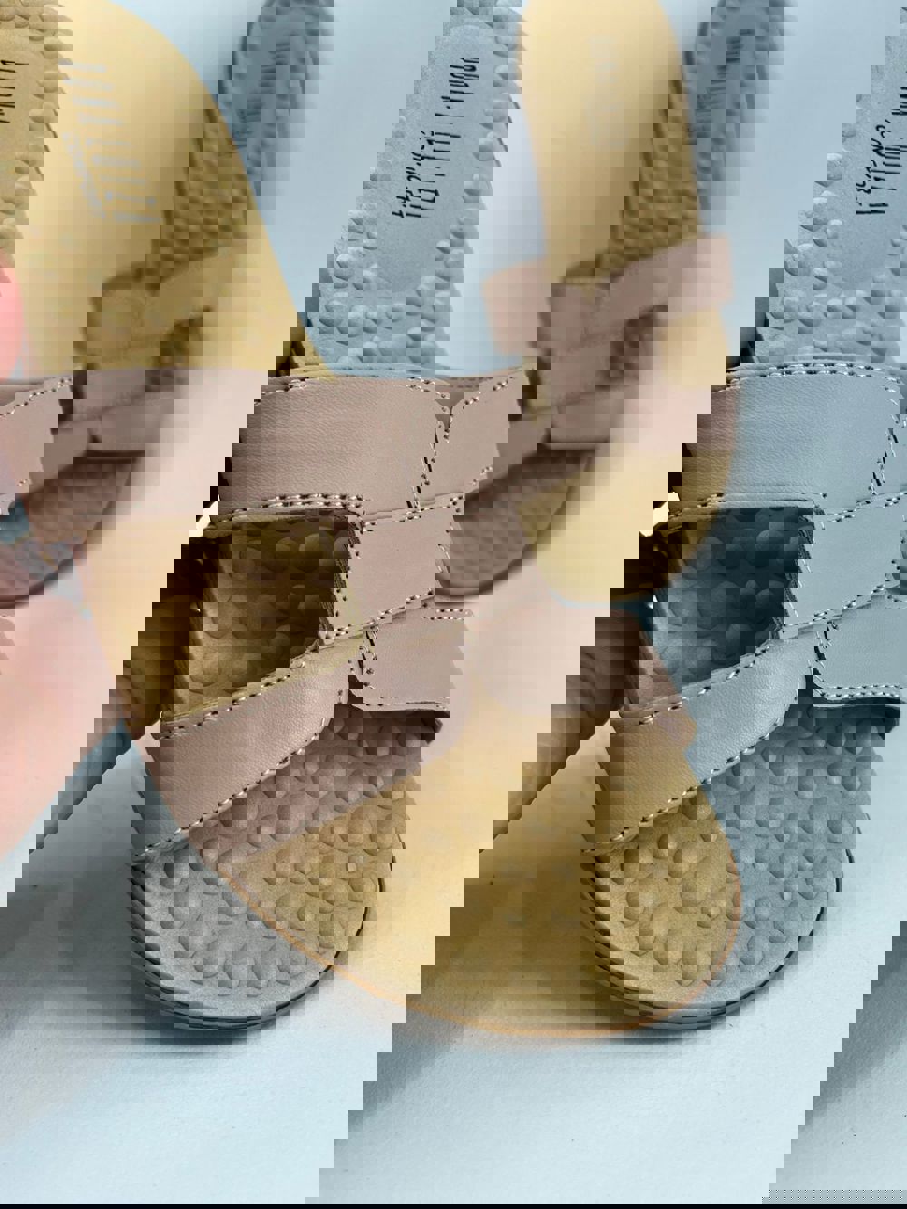 Imagem de destaque 3 de CONFORT SARA